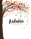 Enjoy Autumn Sale background with trees and colorful leaves. Royalty Free Stock Photo