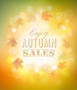 Enjoy Autumn Sales background with autumn leaves. Royalty Free Stock Photo