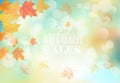 Enjoy autumn sales background with colorful leaves.