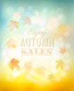 Enjoy autumn sales background with colorful leaves. Royalty Free Stock Photo