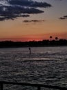 enjoy Beautiful pinkish sunset on the beach in Florida