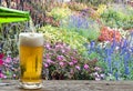 Enjoy beer in flower garden.