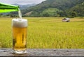 Enjoy beer with rice field landscape.