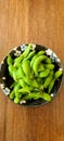 Enjoy the best Edamame Royalty Free Stock Photo