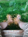 Enjoy Foot relaxion water nature Royalty Free Stock Photo