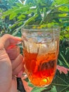 Enjoy iced tea during the day