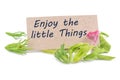 Enjoy the little things