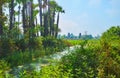 The jungles of Ava, Myanmar Royalty Free Stock Photo