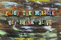 Enjoy miracle alive life love magic help nature yourself mindfulness Royalty Free Stock Photo