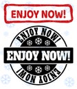 Enjoy Now! Grunge and Clean Stamp Seals for New Year Royalty Free Stock Photo