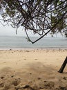 enjoy the sea view from under the tree during the day. white sand. the sound of the waves. I still remember that moment clearly.