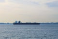 Afternoon Tranquility: Ship on the Bosphorus Strait