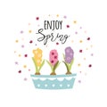 Enjoy spring phrase decorated plant flowers in pots Hyacinths tiny flowers around vector typography floral quote