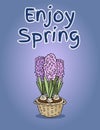 Enjoy spring postcard with hyacinth flower. Vector hand drawn cute illustration