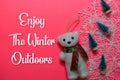 Enjoy The Winter Ourdoors text isolated on Pink backgroud. Frame of Christmas Decoration