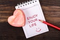 Enjoy your life handwritten Royalty Free Stock Photo