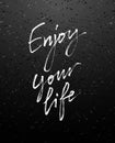 Enjoy Your Life. Modern calligraphy Royalty Free Stock Photo