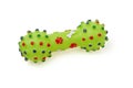 Enjoyable and colourful bone rubber toy for pets dogs. Royalty Free Stock Photo