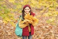 Enjoying autumn day. child walk in autumn forest or park. fall seasonal weather. childhood happiness. beauty and nature Royalty Free Stock Photo