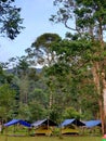 enjoying the beauty of Lake Tambing camping in the afternoon, Poso