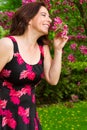 Enjoying cherry blossoms Royalty Free Stock Photo