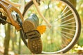 Enjoying good autumn weather. Fall concept. Riding the bicycle in the park. Active people. Outdoors. Autumn tree leaves Royalty Free Stock Photo