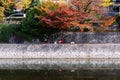Enjoying life along River Toyohira in Autumn Royalty Free Stock Photo