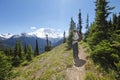 Enjoying the scenic view. Hiking trail. Mt Rainer, Washington Royalty Free Stock Photo