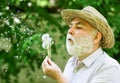 Enjoying summer rest. symbol of thin gray hair. old man blow dandelion flower. Alzheimer dementia. concept of cognitive