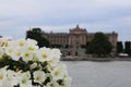 Enjoying the summer in Stockholm Royalty Free Stock Photo