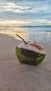 Enjoying the sunset with coconuts. Royalty Free Stock Photo