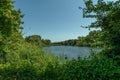 The Enkheimer Ried nature reserve in the east of the Frankfurt district of Bergen-Enkheim Royalty Free Stock Photo