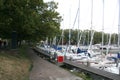 Enkhuizen, historical marina filled with sailing ships