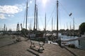 Enkhuizen, historical marina filled with sailing ships