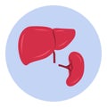 Enlarged liver and spleen icon