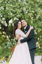 Enloved bride and groom in a park holding under tree decorated with many lanterns Royalty Free Stock Photo