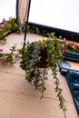 Vertical shot of hanging pla in Enniskerry village in County Wicklow, Ireland