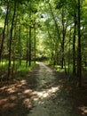 Eno Hiking Trail