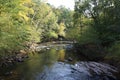 The Eno River lined by dense trees in the forest at Eno River State Park, North Carolina