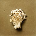 Enoki, Enokitake, Flammulina velutipes, edible mushroom popular in Japanese cuisine