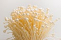 Enoki mushroom Royalty Free Stock Photo