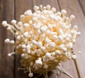 Enoki mushroom Royalty Free Stock Photo