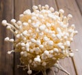 Enoki mushroom