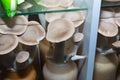 Enoki mushroom farm Royalty Free Stock Photo