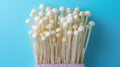 Enoki mushroom, flammulina velutipes, arranged on a soft and elegant pastel colored background