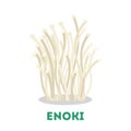 Enoki mushroom. Healthy organic fungus, natural ingredient