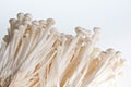 Enoki Mushrooms Royalty Free Stock Photo