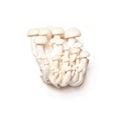 Enoki Mushrooms Royalty Free Stock Photo
