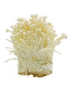 Enoki Mushrooms