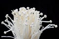 enoki mushrooms